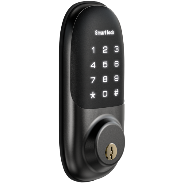 Smart Lock J11