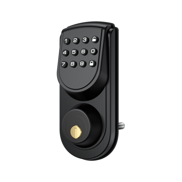 Smart Lock J21